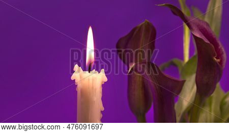 Candle Flame And Purple Sepals Of The Calla Lily (zantedeschia) Illuminated By The Candlelight Over 