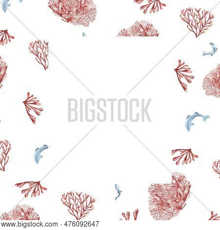 Frame Of Sea Plants, Coral Watercolor Isolated On White Background. Pink Agar Agar Seaweed And Fish 