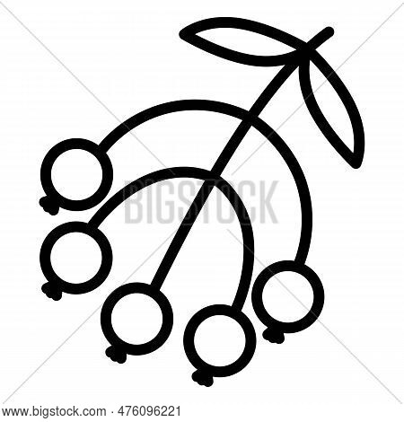 Rowan, Mountain Ash, Berry, Viburnum Icon. Icon Of Rowan Or Viburnum In Outline Or Line Style.