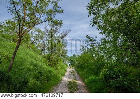 Panorama Of A Rural Landscape With A Dirtpath Old Country Road Surrounded By Green Grass And Trees I