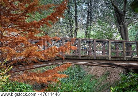 Fall Colors At A Bridge Of The Uc Davis Arboretum Over Lake Spafford