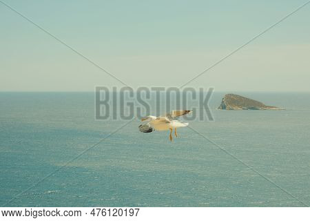 Benidorm Island, Isla De Benidorm In Mediterranean Sea, Benidorm, Alicante, Spain