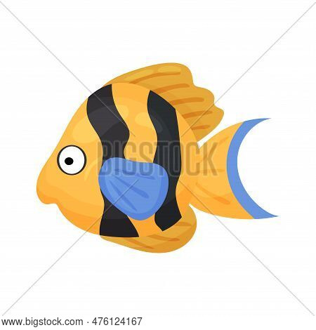 Cool Finny Fish Vector Ilustration Isolated On A White Background. Marine Life, Ocean Animals