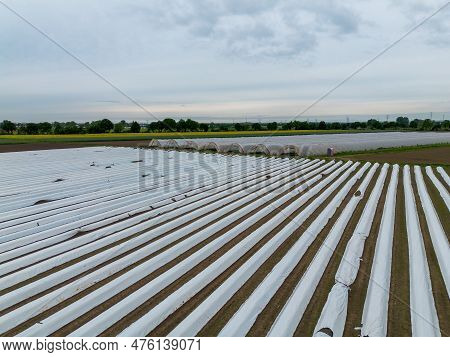 Asparagus And Strawberry Fields Under Plastic Film And A Tunnel Near Weiterstadt Recorded From Above