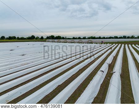 Asparagus And Strawberry Fields Under Plastic Film And A Tunnel Near Weiterstadt Recorded From Above