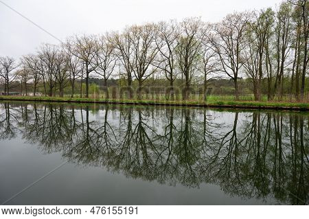 Tree Reflections In The Canal In Geel, Flanders, Belgium
