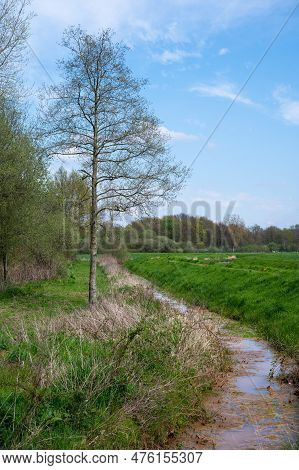 The Grote Nete River Through Green Lawns Around Westerlo, Antwerp Province, Belgium