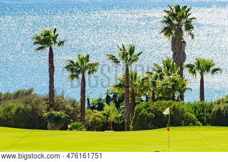 Golf Course And Palm Trees On Sea Coast, Sotogrande In Andalusia Spain