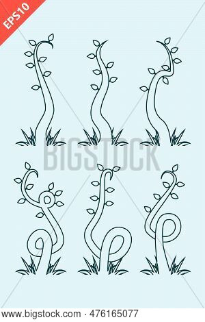 Hand Drawn Beanstalk Design Vector Flat Modern Isolated Illustration