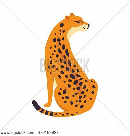 Sitting Leopard As Wild Cat With Long Spotted Body Vector Illustration