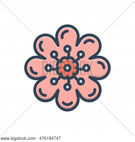 Color Illustration Icon For Flower Bloom Garden-stuff Floweret Floret Perennial Beautiful Floral