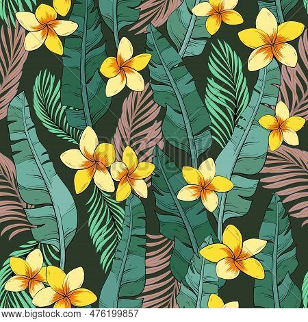 Seamless Pattern Wallpaper Of Tropical Palm And Banana Leaves And Flowers Plumeria On A Dark Backgro