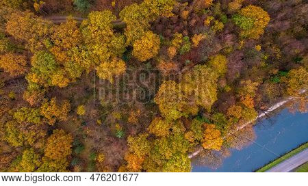 Top View Of Dark Autumnforest Landscape Wallpaper Art. Aerial Nature Scene Of Pine Trees And Road Ba