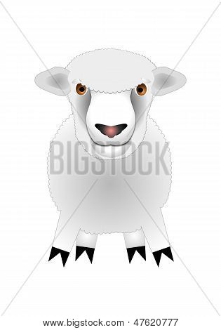 Ovejas