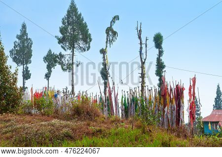Buddist Religious Prayer Flags And Trees Standing Tall Outside Monastery In Sikkim, India. Blue Sky 