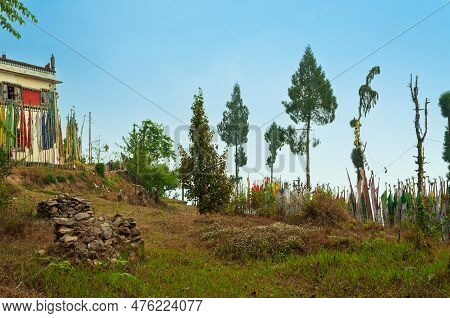 Buddist Religious Prayer Flags And Trees Standing Tall Outside Monastery In Sikkim, India. Blue Sky 