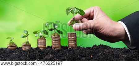 Corporate Business Invests In Environmental Subsidies With Hand Grow Seedlings On Coin Stack For Nat