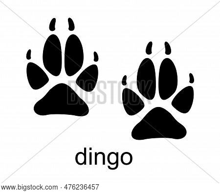 Dingo Dog Footprint. Dingo Stamp. Foot Print Track Icons Vector Set. Black And White. Isolated Vecto
