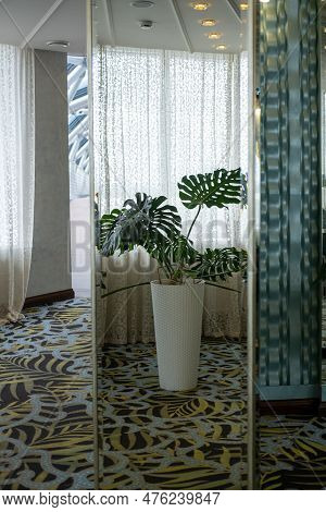 Outdoor White Vase With Large Green Leaves On A Carpet With A Pattern In A Room With White Curtains,