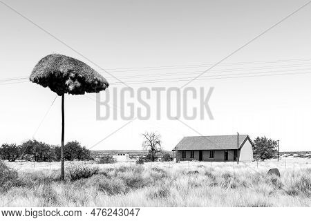 Putsonderwater, South Africa - Feb 28 2023: A House And A Telephone Pole With A Cummunal Bird Nest N