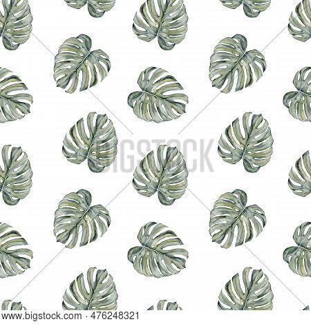Tropical Leaves Seamless Pattern. Monstera Leaves Seamless Pattern. Monstera Leaves On Isolated Back