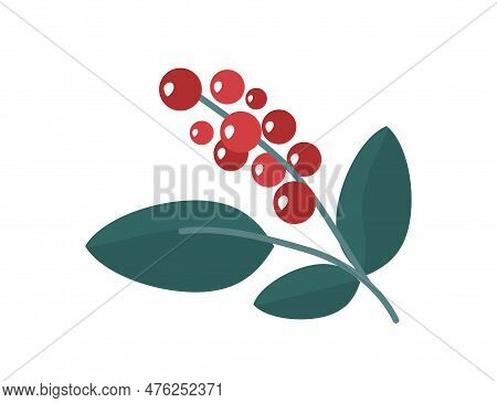 Coffee Branch Concept. Icons For Website. Ingredient For Making Refreshing Hot Drinks. Part Of Tropi