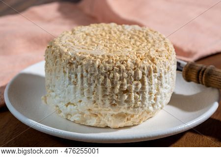 Polish Skimmed Fresh Smoked Milk Twarog Cheese, White Cow Cheese Compared To Curd, Quark, Or Cottage