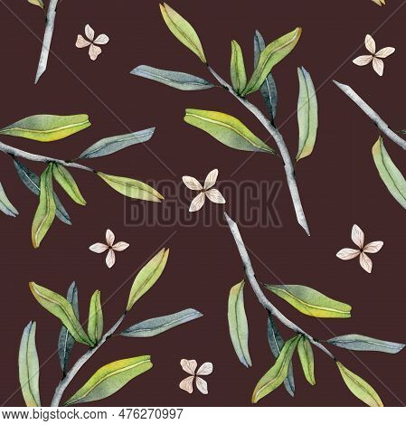 Pomegranates Branches And Tiny Beige Flowers Seamless Pattern On Dark Brown Background. Watercolor I