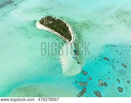 Top View Of Tropical Island With Palm Trees And Sandy Beach. Onok Island, Balabac, Philippines.