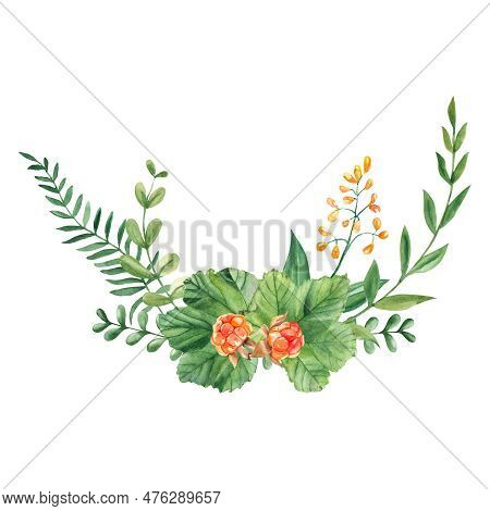 Watercolor Summer Bouquet, Garland Of Cloudberry, Green Branches, Wildflowers. Botanical Hand Drawn 