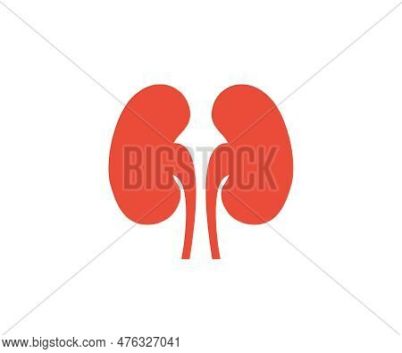 Human Kidney Anatomy Isolated On White Background Logo Design. Human Kidney Silhouette Icon Vector D