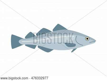 Codfish Haddock, Cod Seafood And Underwater Color Animal. Water Delicacy, Gourmet. Fishing. Vector I
