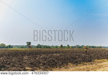 Female Farmer Use Tablet To Take Wide Angle Shots Of Land To Make Farming Decisions In Soil Field. W