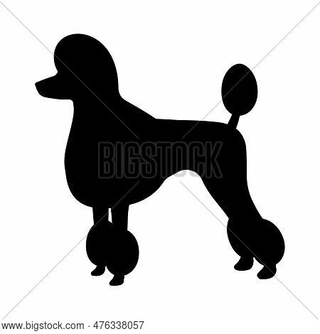 Dog Breed Illustration. Black Silhouette Poodle Dog.