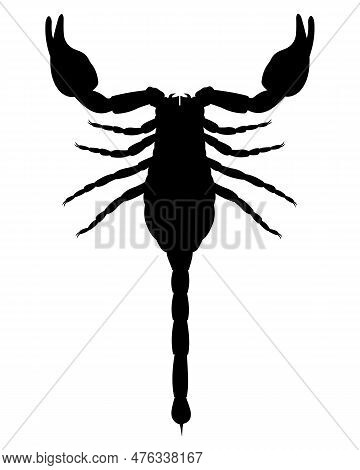 Scorpion Icon. Isolated Black Silhouette Of Scorpion.