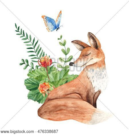 Fox With Cloudberries, Green Twigs And Blue Butterfly Isolated On White Background. Watercolor Hand 