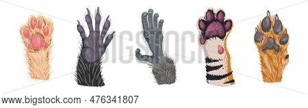 Animal Paw And Animalistic Pets Claw Vector Set