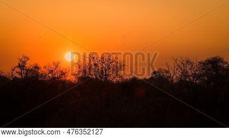An Orange Sunset Through A Dusty African Sky With Silhouettes In The Kruger National Park In South A
