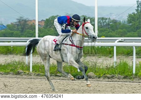 Pyatigorsk,russia - May 14,2023:trial Horse Race On Akhalteke Horses,hippodrome Pyatigorsk.jockey Bi