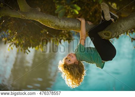 Child Boy Climbing High Tree In The Summer Park. Portrait Of Cute Kid Boy Sitting On The Tree, Climb