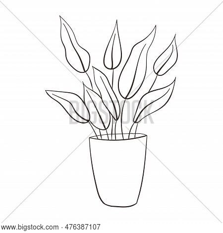 Aglaonema House Plant Sketch. Line Art Drawing Potted Tropical Leaf Aglaonema Plant. Printable Decor