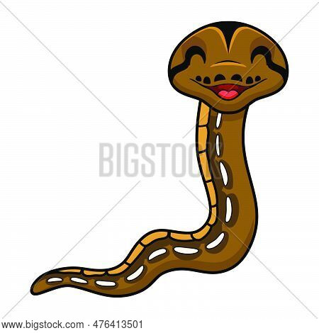Vector Illustration Of Cute Tiger Reticulatus Python Cartoon