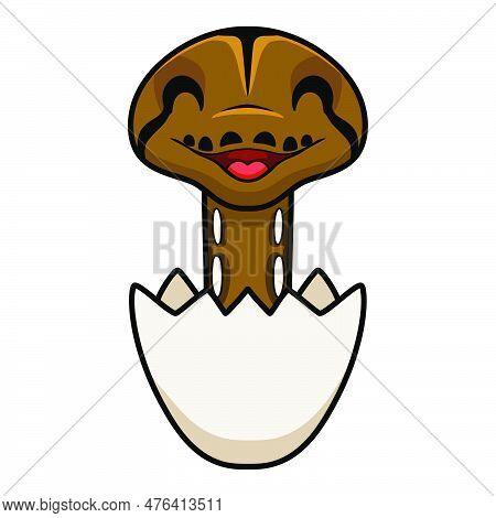 Vector Illustration Of Cute Tiger Reticulatus Python Cartoon Inside An Egg