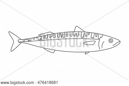 Mackerel Line Art, Scomber Seafood And Underwater Animal. Water Delicacy, Gourmet. Fishing. Coloring