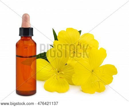 Common Evening Primrose  With  Essence Bottle  Flowers Isolated On White