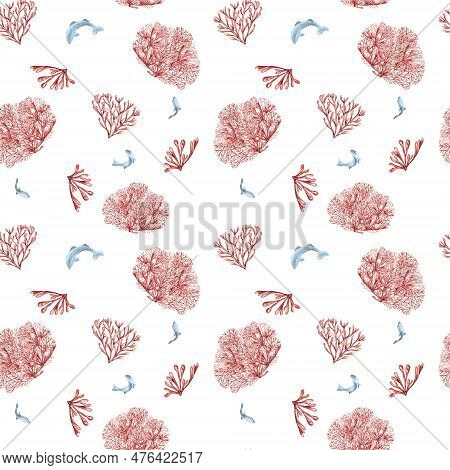 Seamless Pattern Of Sea Plants, Coral Watercolor Isolated On White Background. Pink Agar Agar Seawee