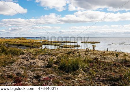 Wetlands On The Great South Bay In Bay Shore Long Island At Gardiners Park.