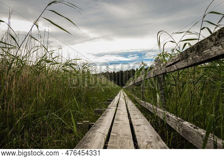 Empty Wooden Footpath Amidst Plants Against Sky