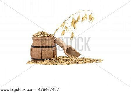 Heap Of Organic Oat Grains With Hulls Or Husks In Small Wooden Barrel Isolated On White Background. 