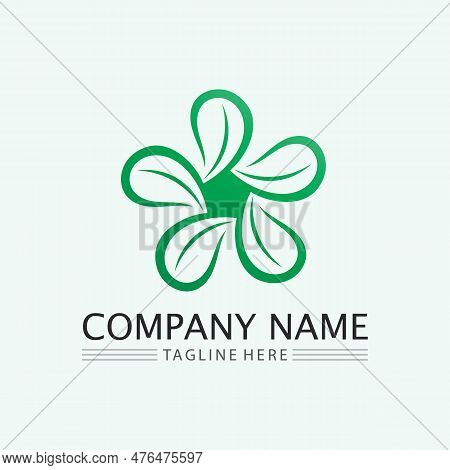 Flower Logo. The Circular Logo. Logo Of The Flower. Stylized Flower. Petals. Simple Logo. The Brand